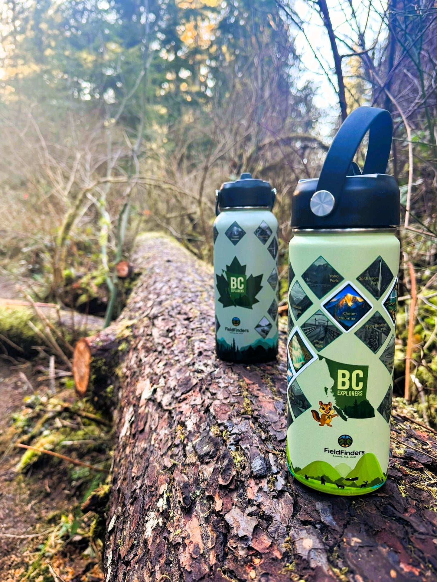 Family Adventure Bundle