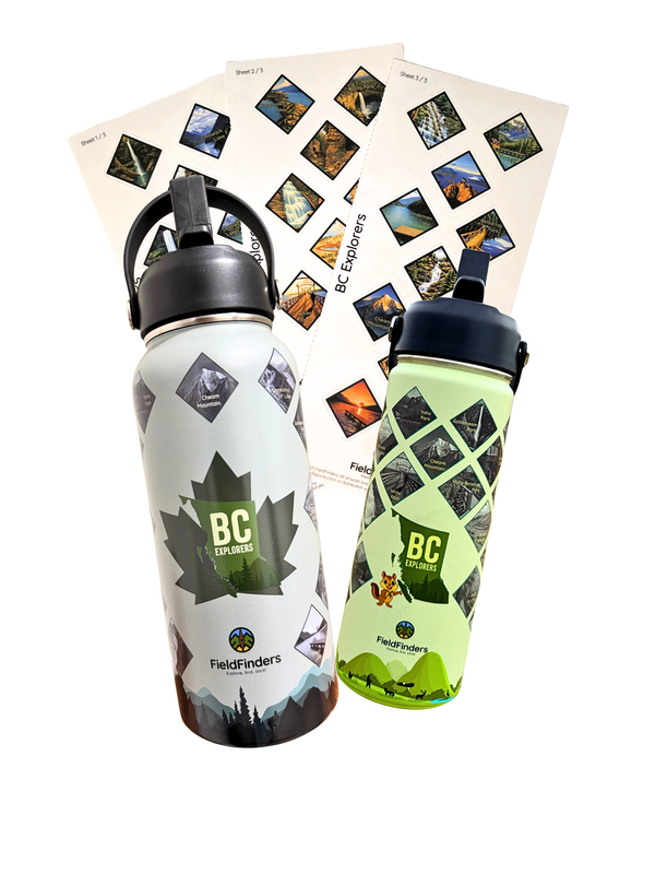 Family Adventure Bundle